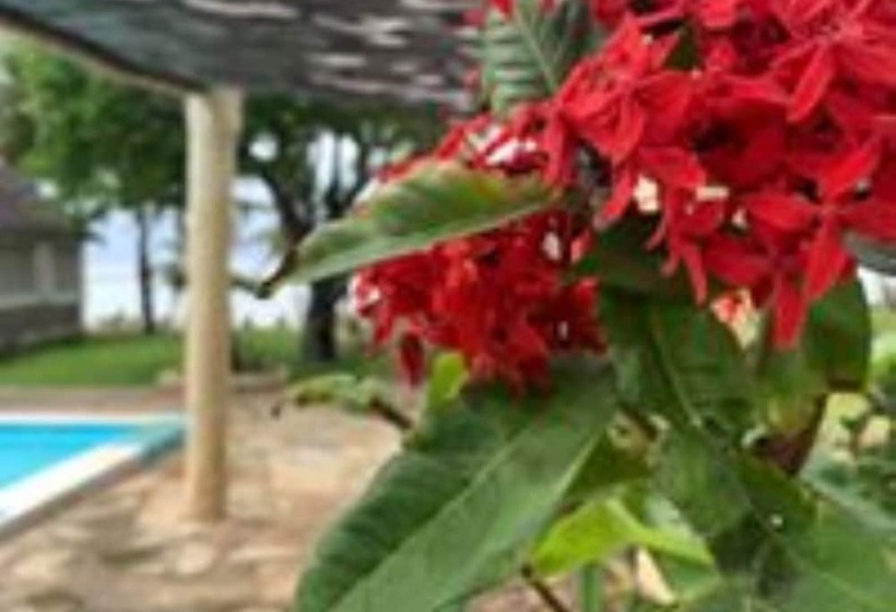 هتل The Coconut Beach Boutique Lodge & Spa