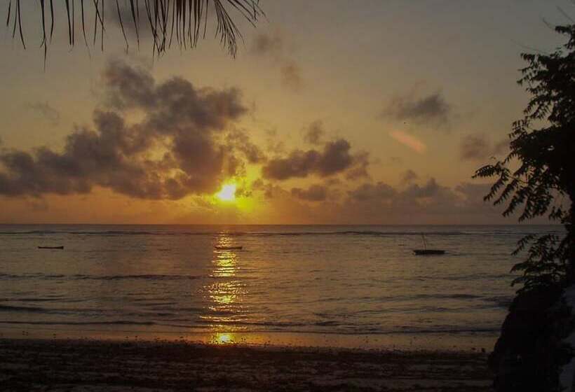 هتل The Coconut Beach Boutique Lodge & Spa