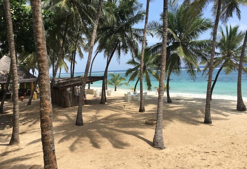 هتل The Coconut Beach Boutique Lodge & Spa