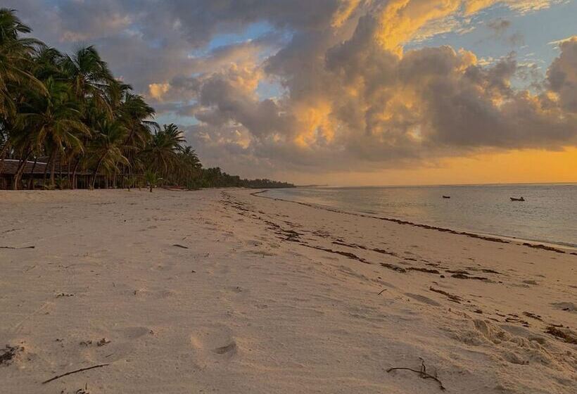 هتل The Coconut Beach Boutique Lodge & Spa