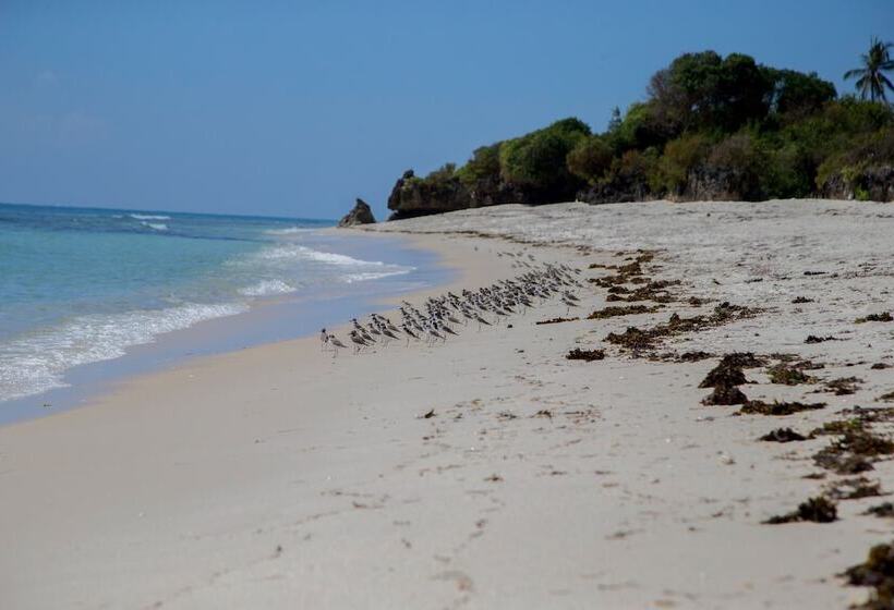 هتل The Coconut Beach Boutique Lodge & Spa