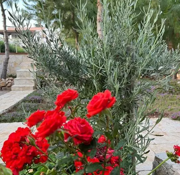 Krasì B&b