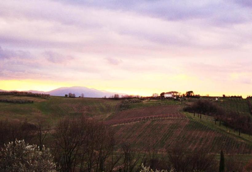 Oasi Verde Casa Vacanze