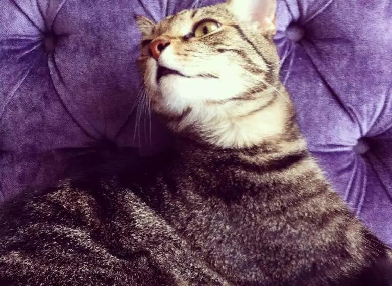 تختخواب و صبحانه Maison Decò