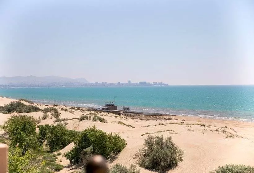 هتل Alfa Summer