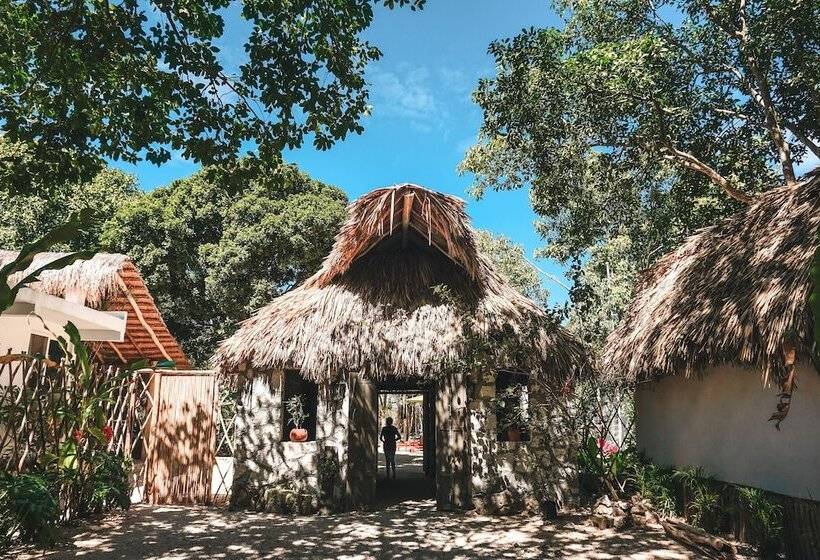 Szálloda Huaya Camp