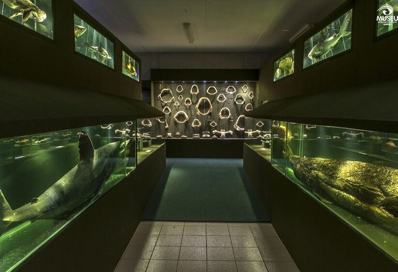 酒店 Pousada Marzuk