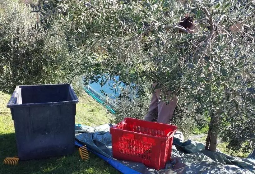 Maaseutuhotelli Sostio A Levante