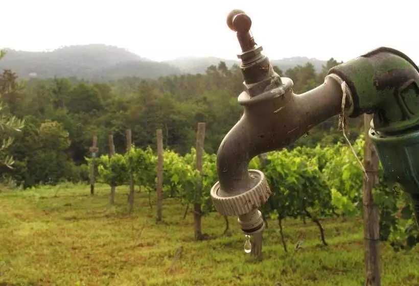 Maaseutuhotelli Sostio A Levante