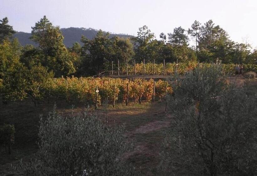 فندق ريفى Sostio A Levante