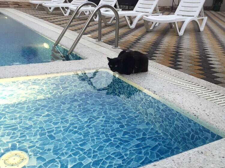 פנסיון Guest House Helena