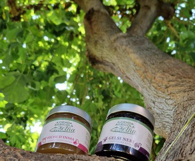 Agriturismo Dell'etna