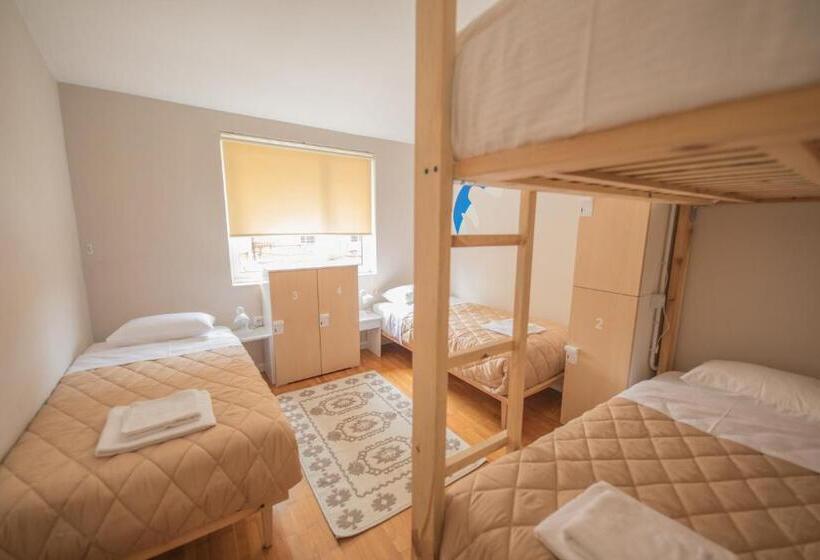 הוסטל Mosaic Home