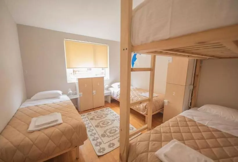 هاستل Mosaic Home