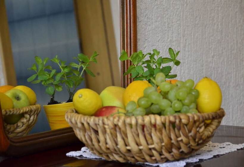 Apartments Lounger Frkovic