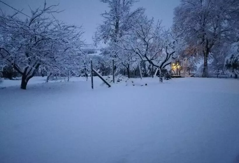 Aamiaismajoitus (B&B) Sotto L'ulivo