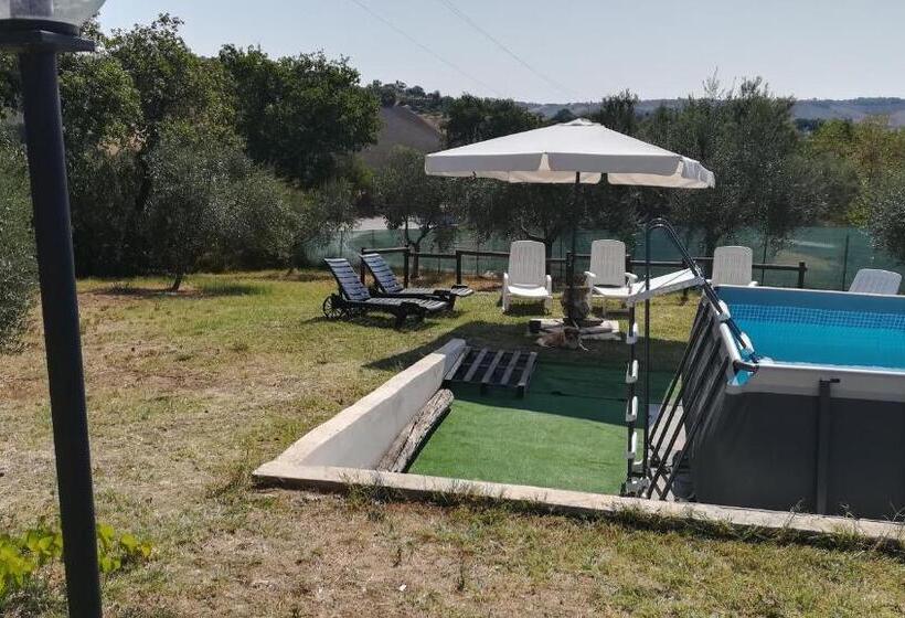 Bed and Breakfast Sotto L'ulivo