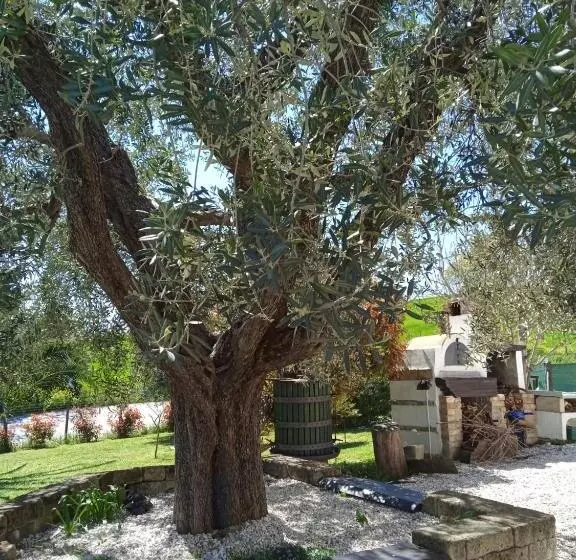 Aamiaismajoitus (B&B) Sotto L'ulivo