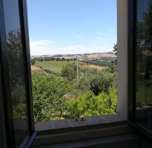 Bed and Breakfast Sotto L'ulivo