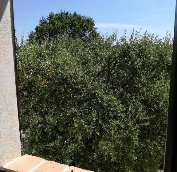 Aamiaismajoitus (B&B) Sotto L'ulivo