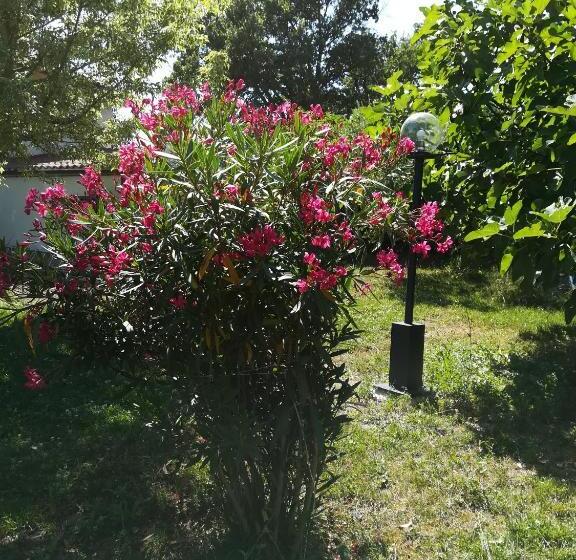 Bed and Breakfast Sotto L'ulivo