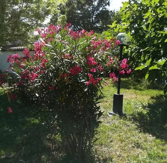 Aamiaismajoitus (B&B) Sotto L'ulivo