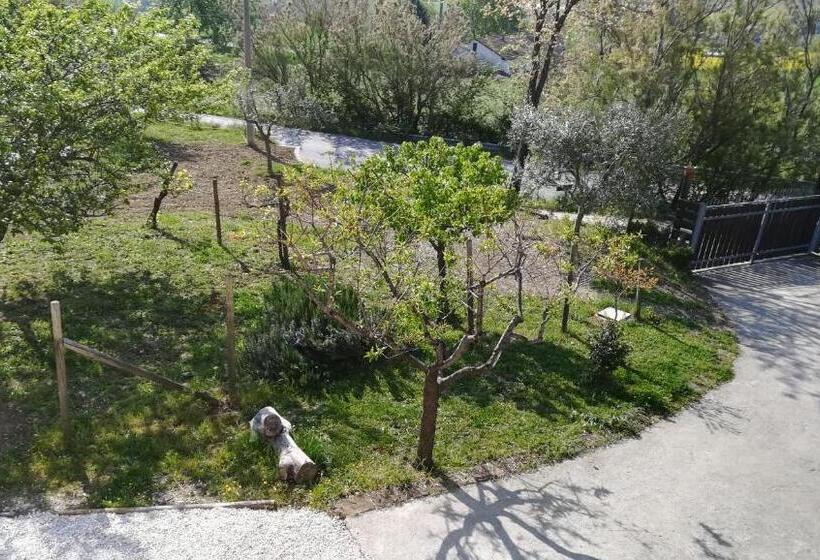 Bed and Breakfast Sotto L'ulivo