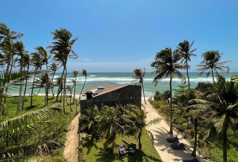 ホテル Harding Boutique