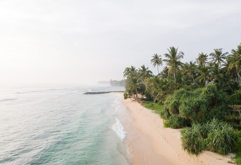 ホテル Harding Boutique