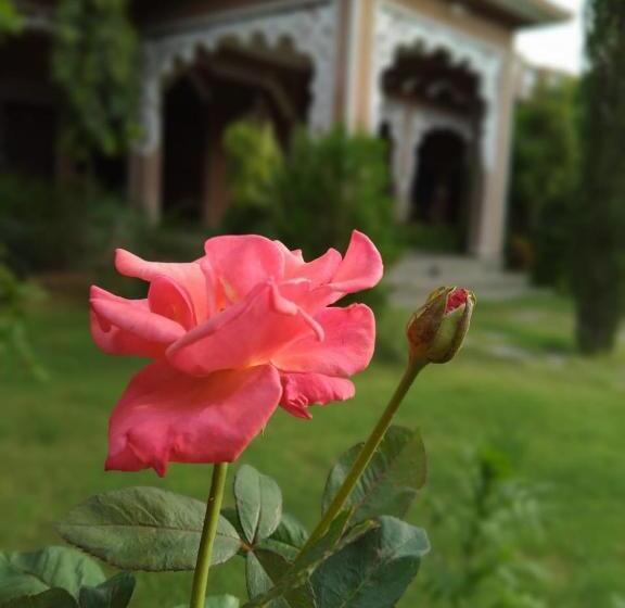 فندق Pushkar Vela Resort