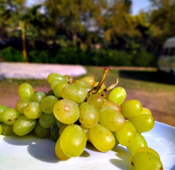 فندق Pushkar Vela Resort