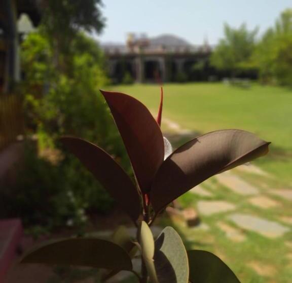 فندق Pushkar Vela Resort