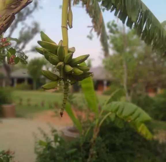 ホテル Pushkar Vela Resort
