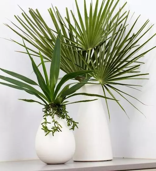 Hotelli The Clovelly