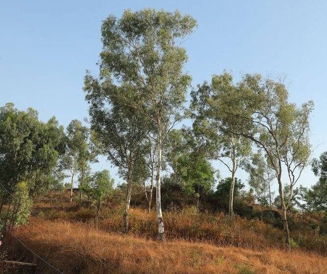 בית מלון כפרי The Lavin Valley