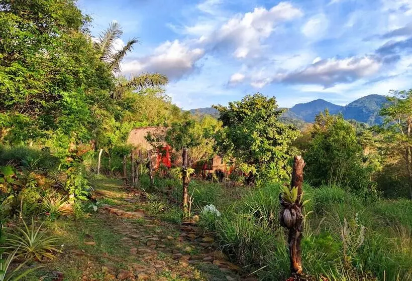 ベッドアンドブレックファースト Sten Lodge Eco Homestay