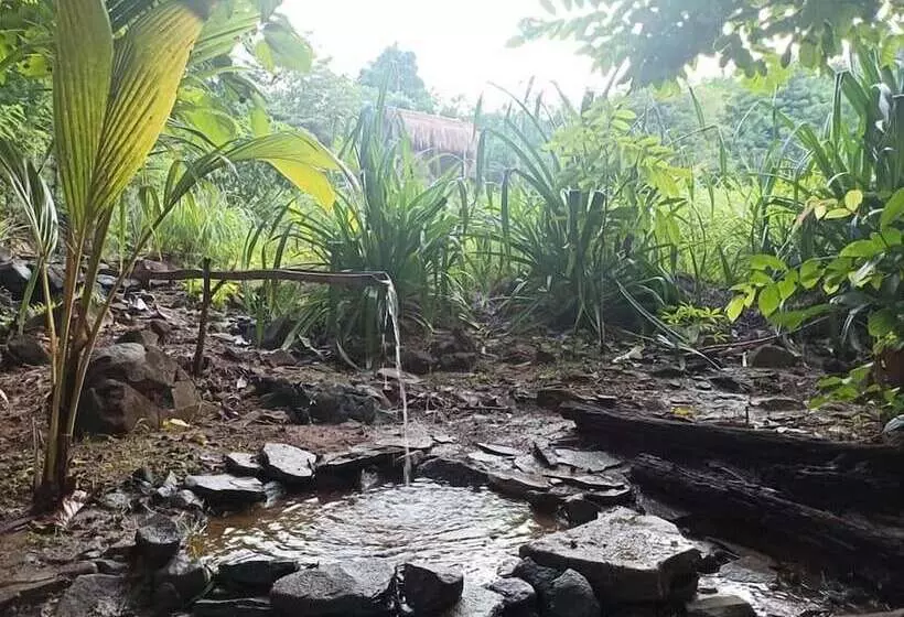 ベッドアンドブレックファースト Sten Lodge Eco Homestay