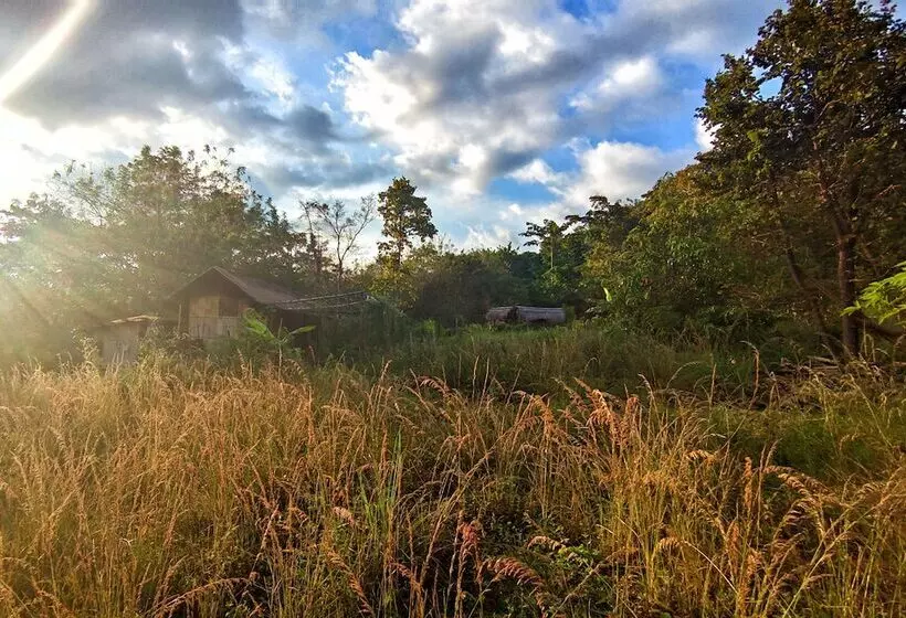 ベッドアンドブレックファースト Sten Lodge Eco Homestay