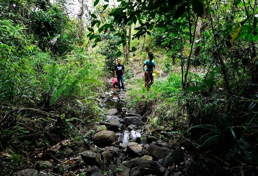צימר Sten Lodge Eco Homestay