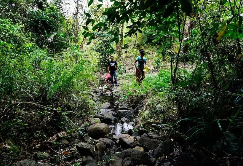 ベッドアンドブレックファースト Sten Lodge Eco Homestay