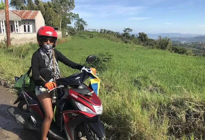 ベッドアンドブレックファースト Sten Lodge Eco Homestay