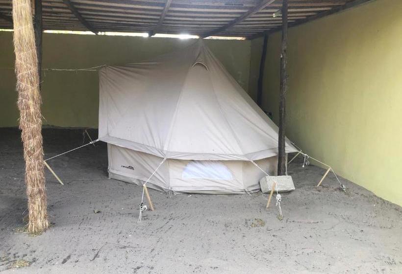 هتل La Lagune Du Thiouraye