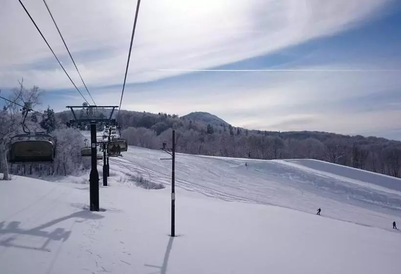 ベッドアンドブレックファースト Nozawa Dream Central