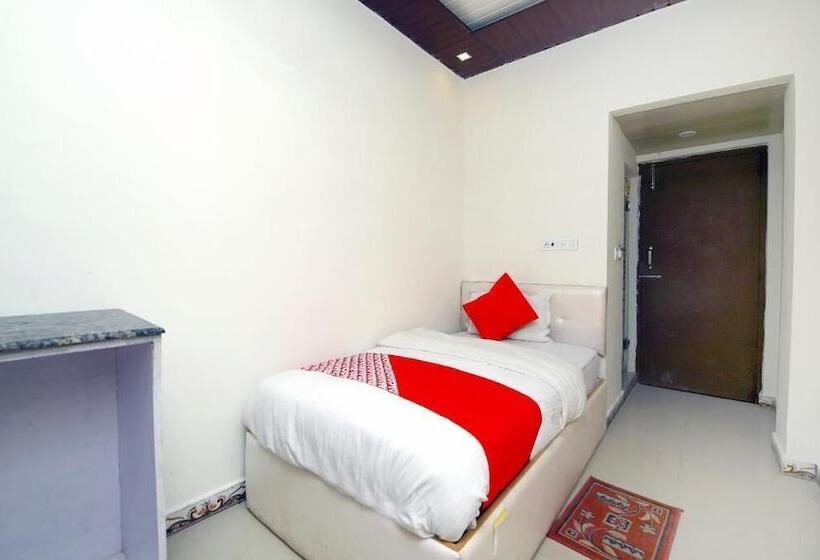 Отель Brijwasi Palace