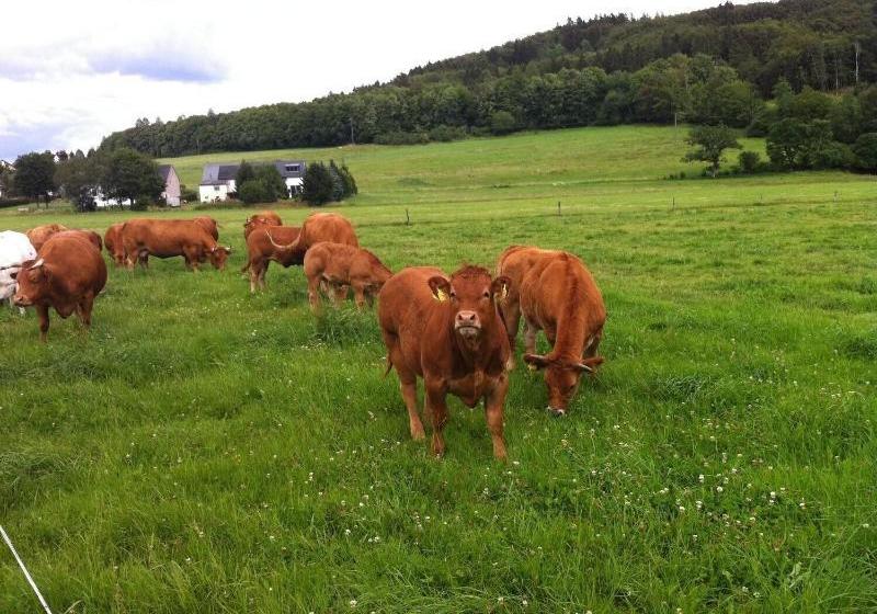 酒店 Müllisch's Hof