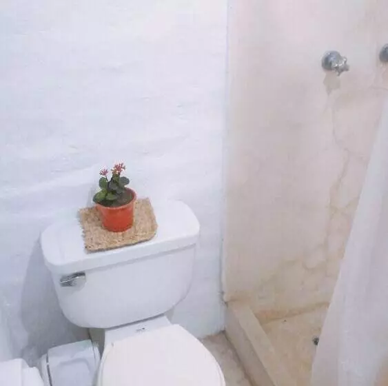 پانسیون Bamboo Huanchaco Lodge
