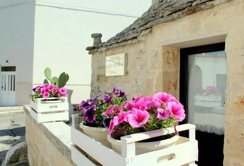 پانسیون Trulli Antica Fonte