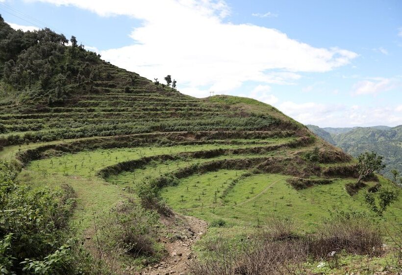 אתר נופש Vedalife Rejuvenation