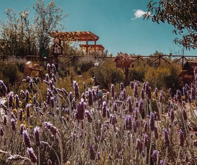 Hotelli Contemplacion Resort & Spa