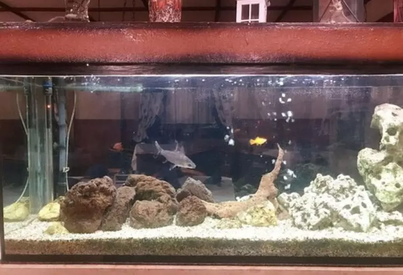 Hotelli Frankfurter Hof